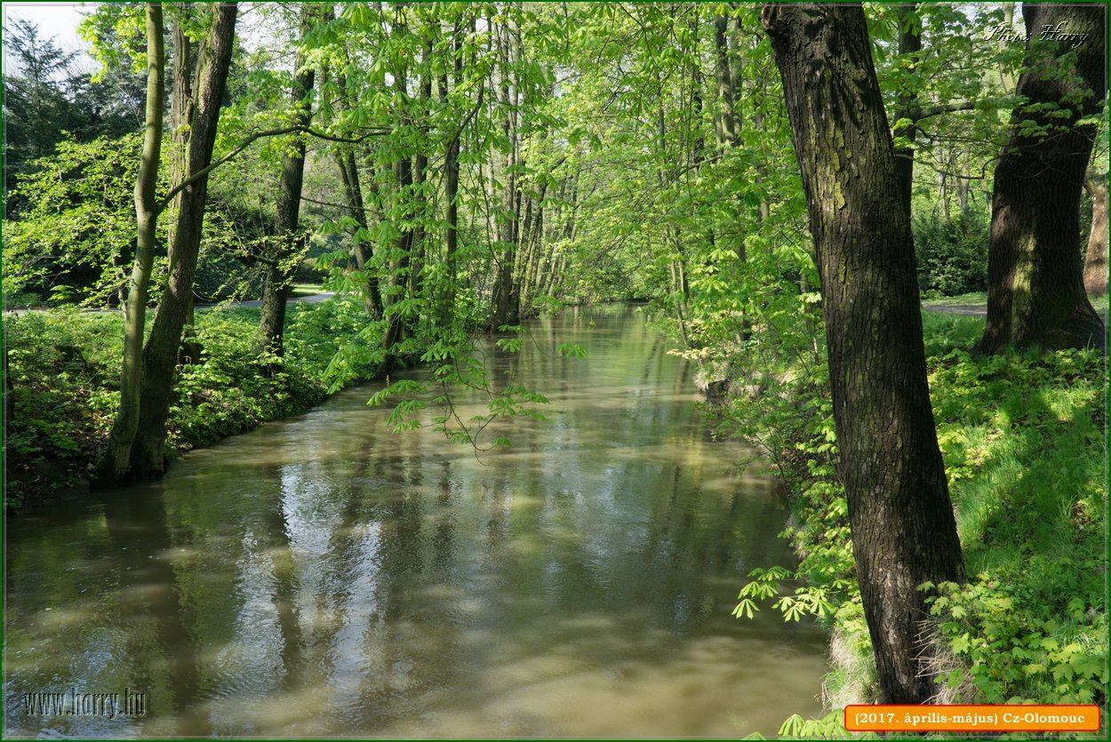 (2017.aprilis-majus)Cz-Olomouc-015.jpg