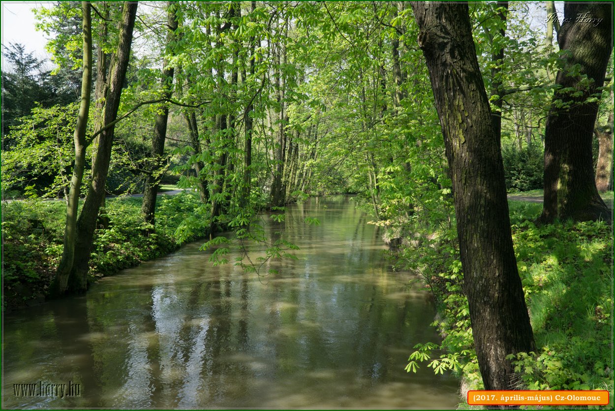 (2017.aprilis-majus)Cz-Olomouc-016.jpg