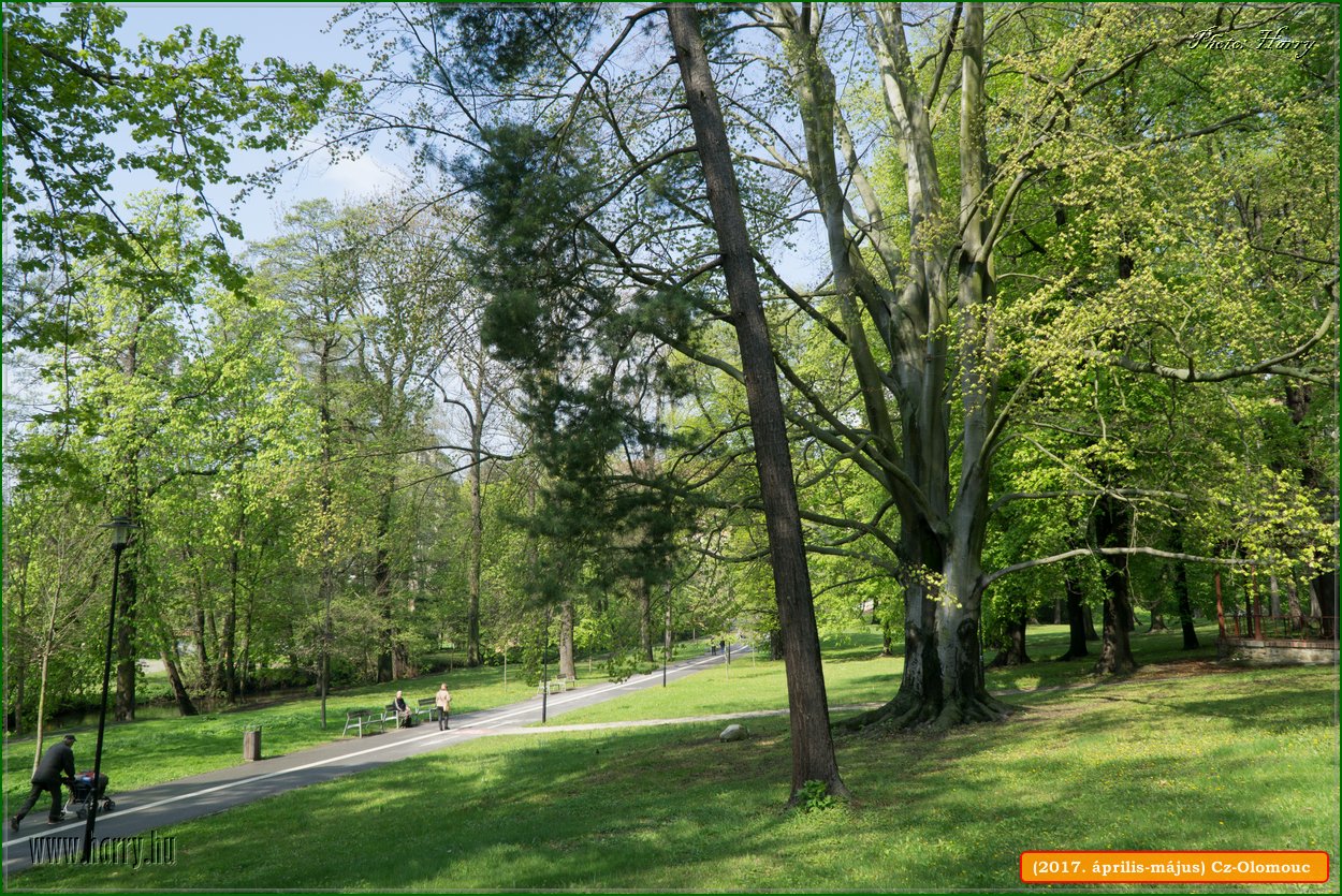 (2017.aprilis-majus)Cz-Olomouc-017.jpg