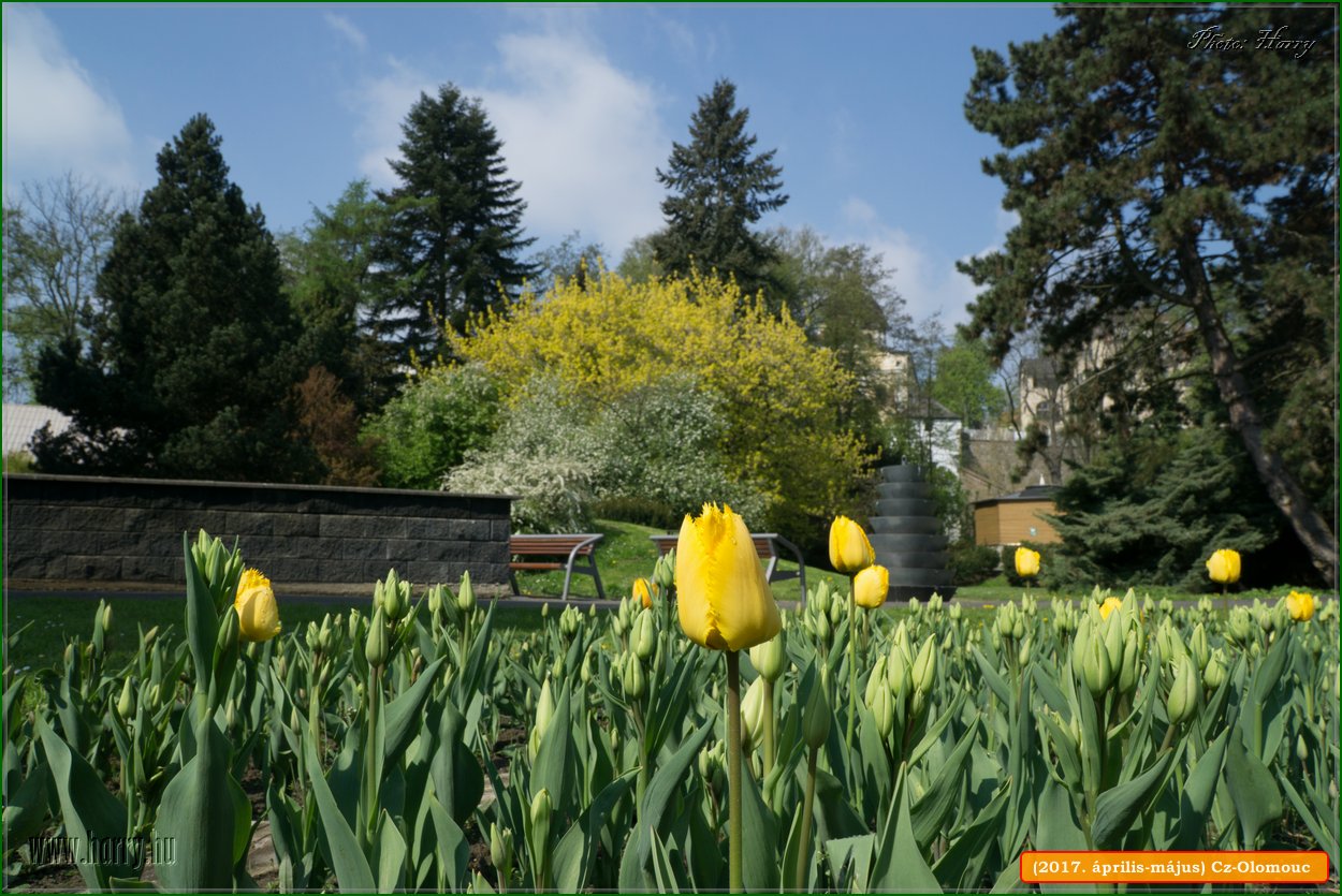 (2017.aprilis-majus)Cz-Olomouc-019.jpg
