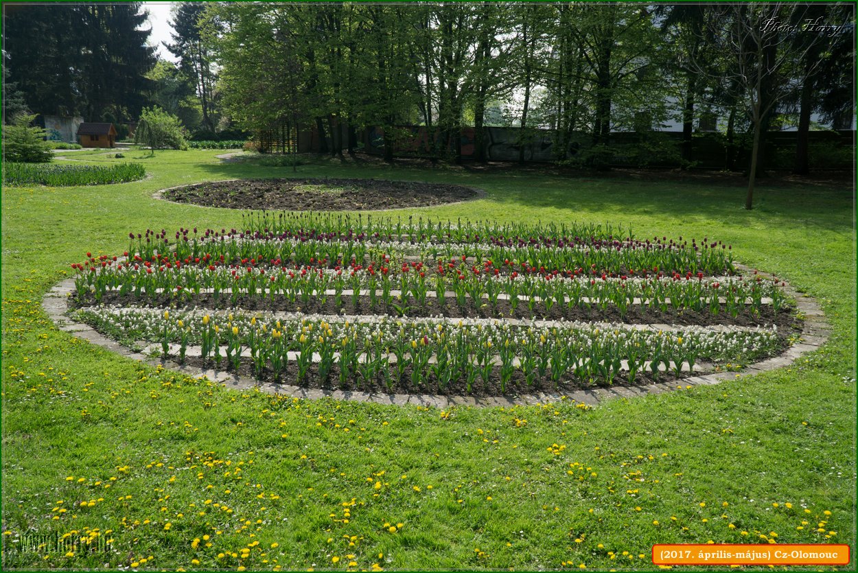 (2017.aprilis-majus)Cz-Olomouc-022.jpg