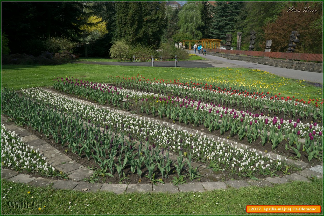 (2017.aprilis-majus)Cz-Olomouc-028.jpg