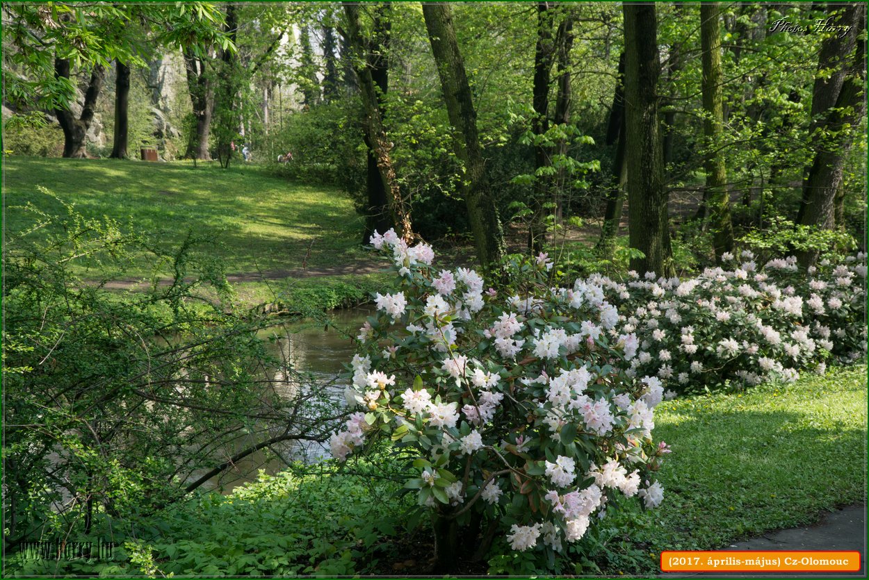 (2017.aprilis-majus)Cz-Olomouc-036.jpg