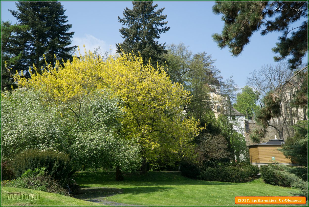 (2017.aprilis-majus)Cz-Olomouc-039.jpg
