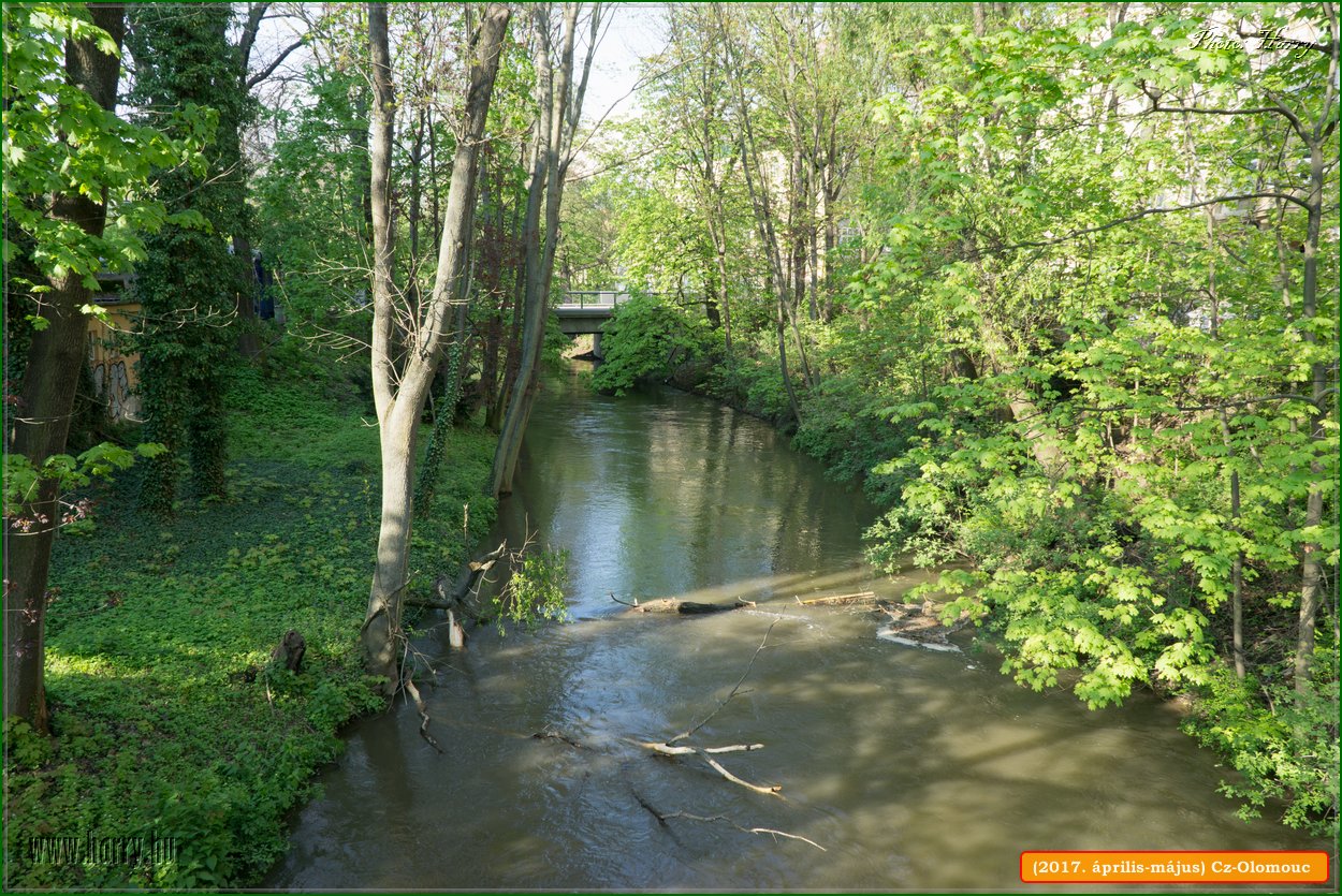 (2017.aprilis-majus)Cz-Olomouc-073.jpg