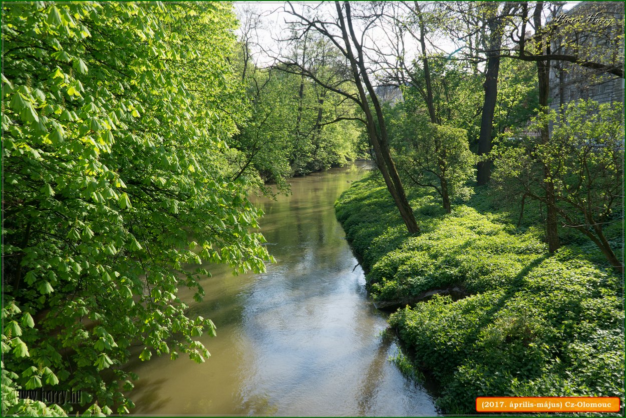 (2017.aprilis-majus)Cz-Olomouc-074.jpg
