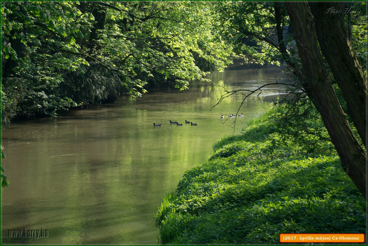 (2017.aprilis-majus)Cz-Olomouc-075.jpg