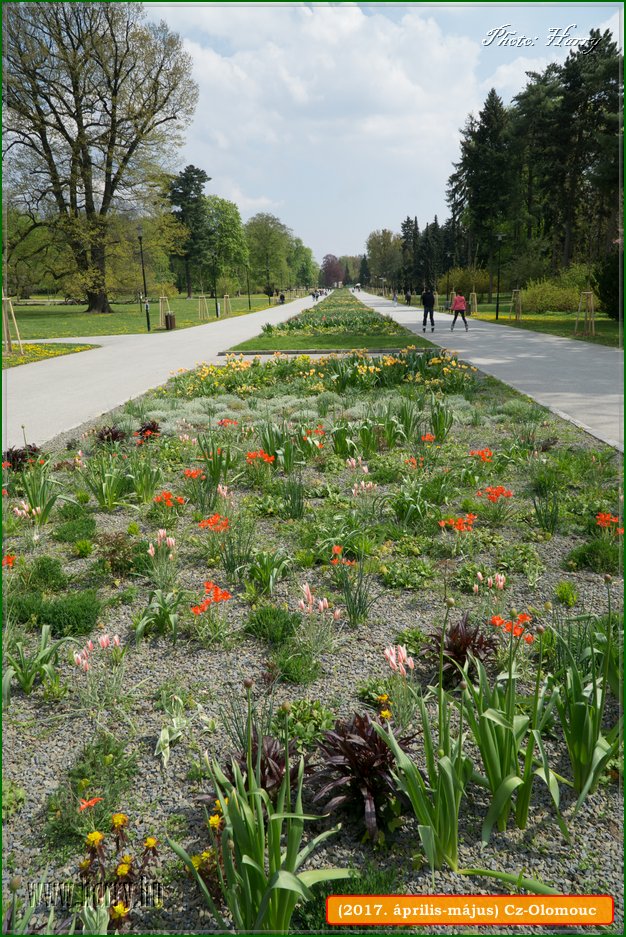 (2017.aprilis-majus)Cz-Olomouc-148.jpg