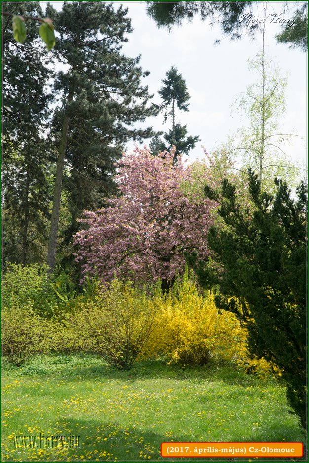 (2017.aprilis-majus)Cz-Olomouc-149.jpg