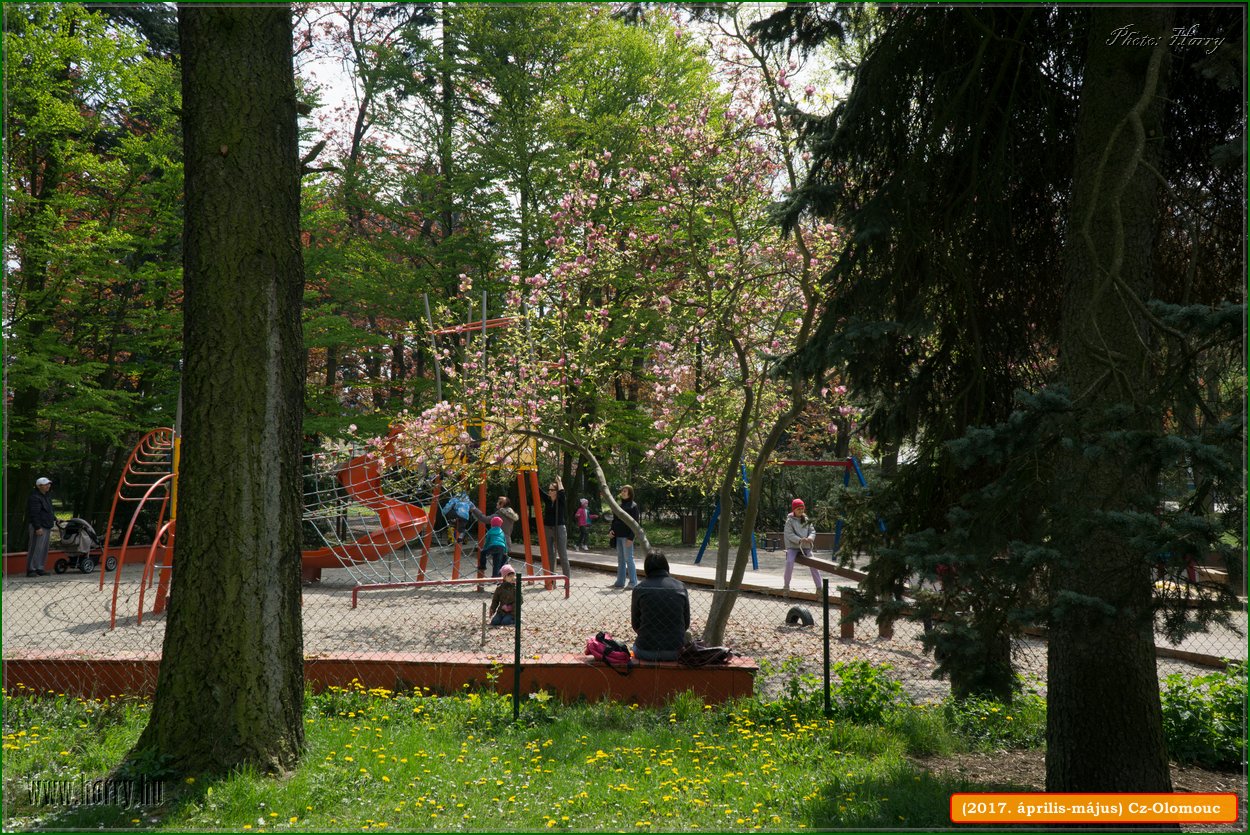 (2017.aprilis-majus)Cz-Olomouc-157.jpg