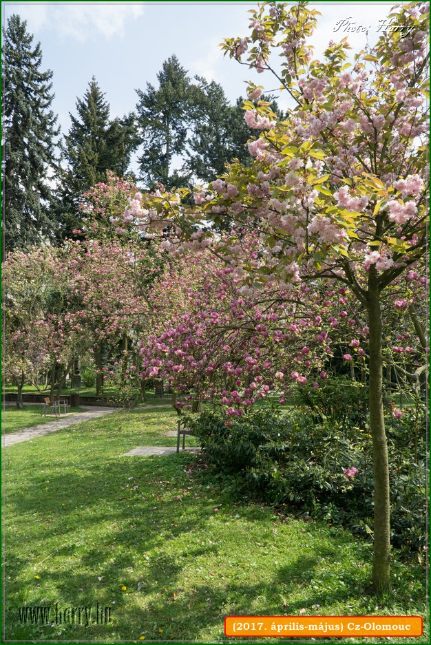 (2017.aprilis-majus)Cz-Olomouc-159.jpg