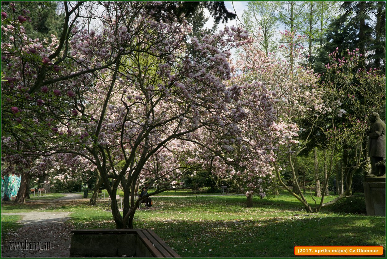 (2017.aprilis-majus)Cz-Olomouc-162.jpg