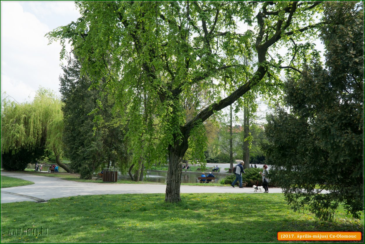 (2017.aprilis-majus)Cz-Olomouc-171.jpg
