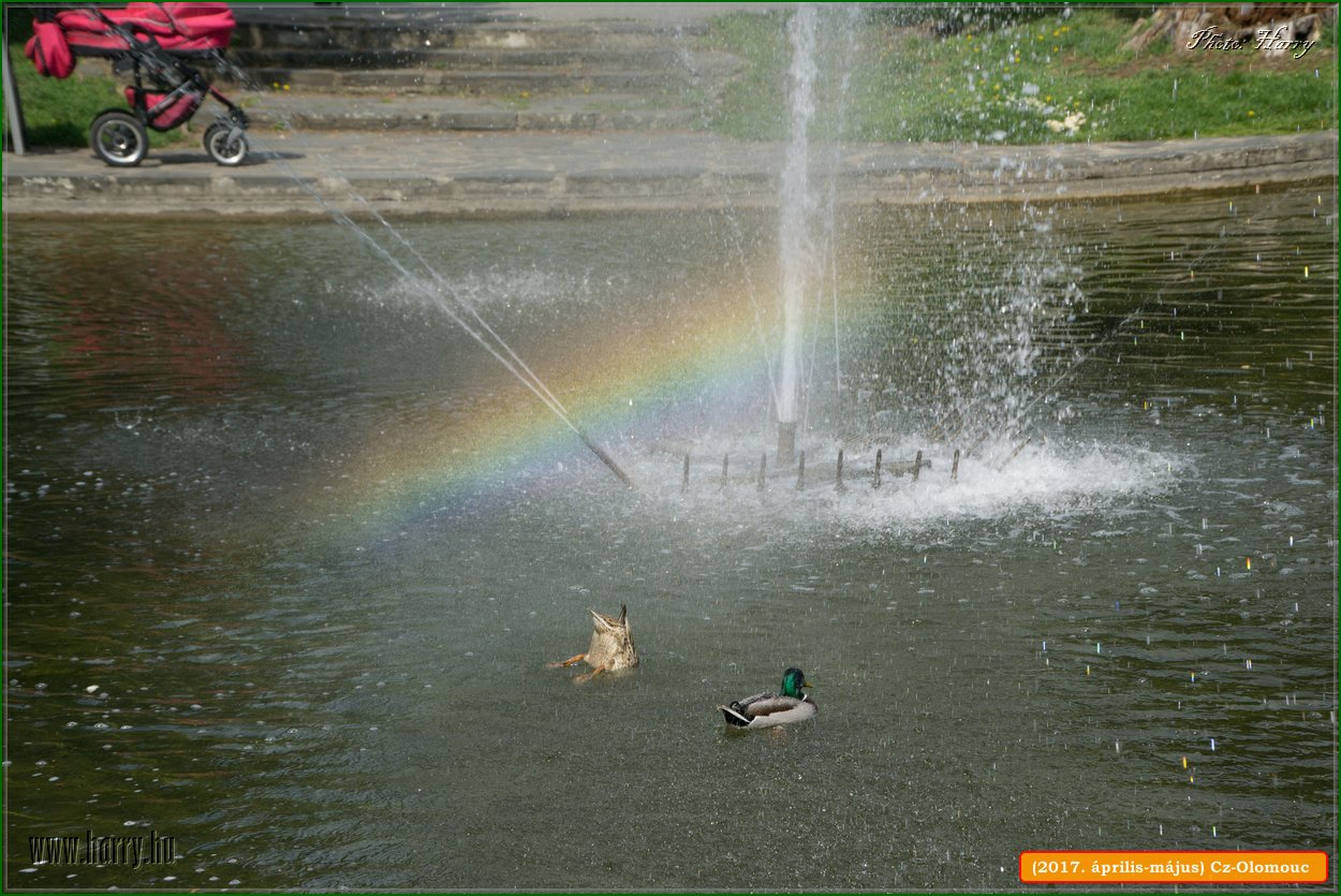 (2017.aprilis-majus)Cz-Olomouc-181.jpg