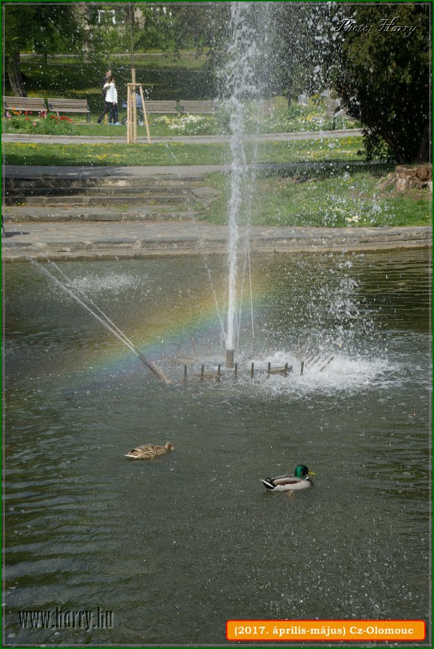 (2017.aprilis-majus)Cz-Olomouc-183.jpg