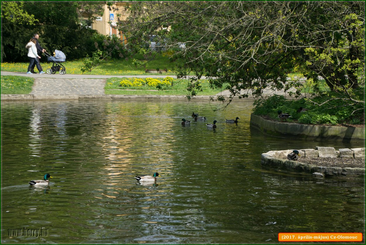 (2017.aprilis-majus)Cz-Olomouc-189.jpg