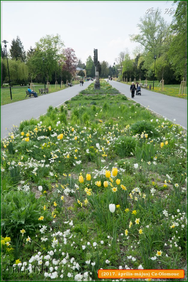 (2017.aprilis-majus)Cz-Olomouc-191.jpg