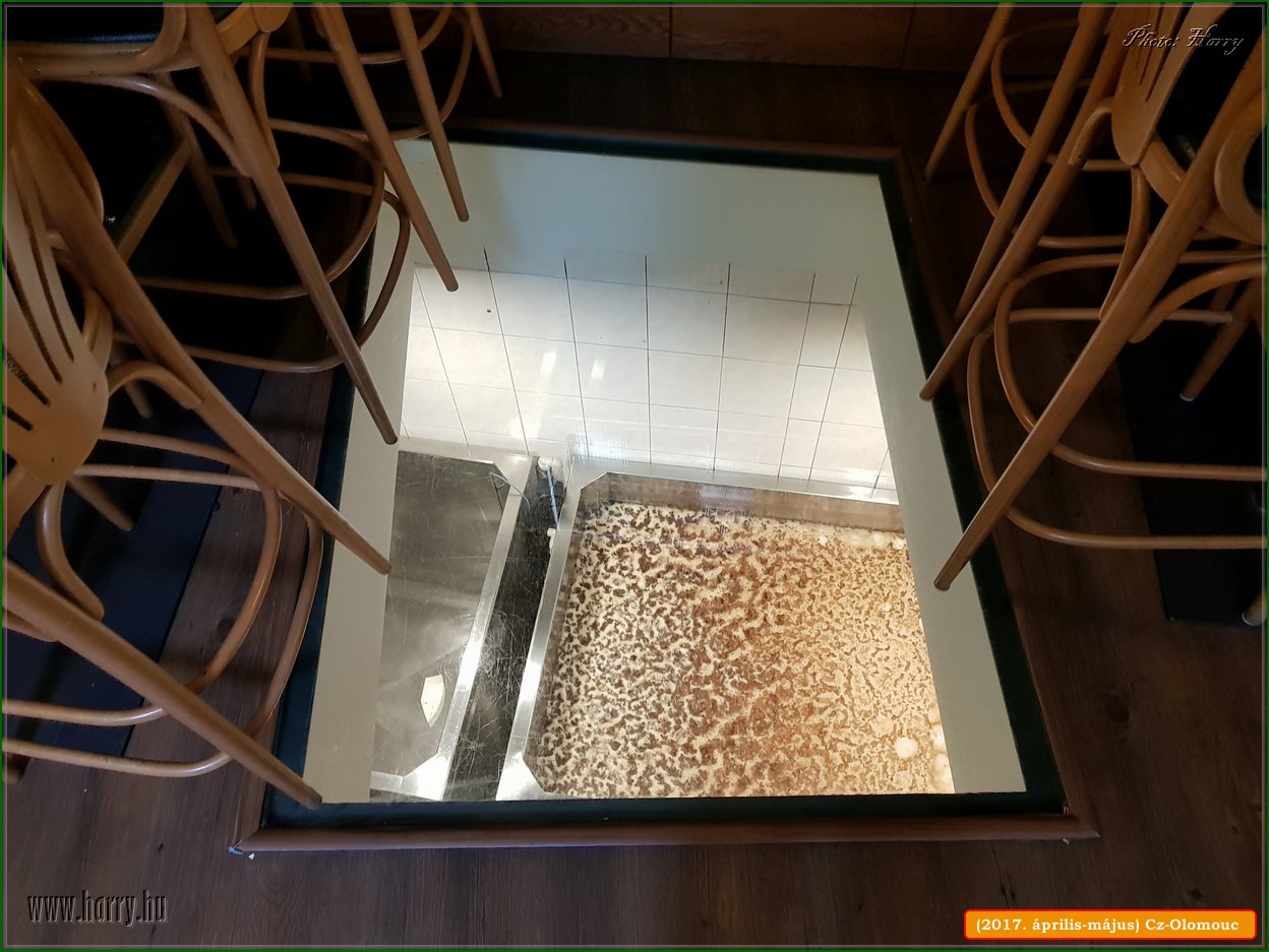 (2017.aprilis-majus)Cz-Olomouc-208.jpg