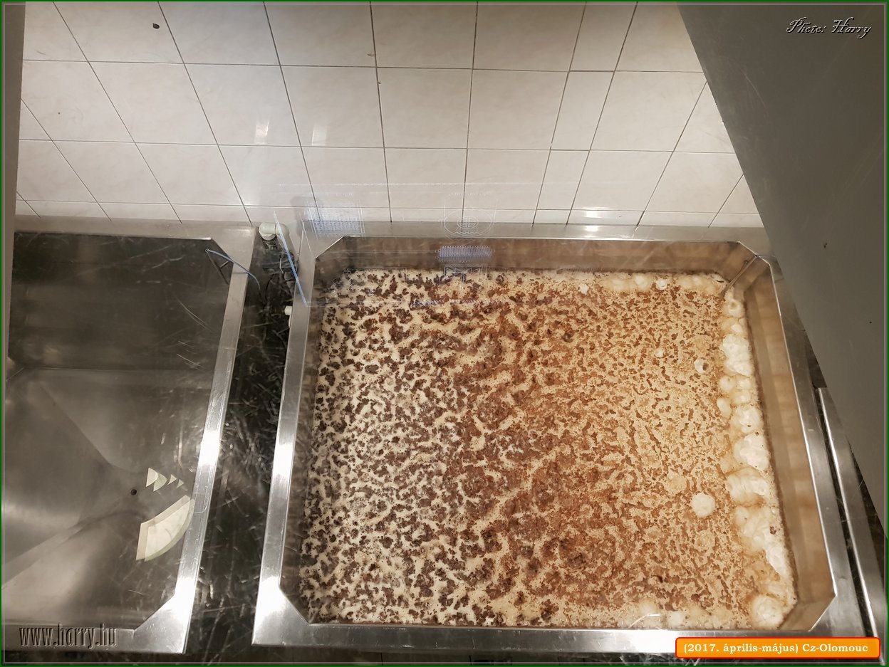 (2017.aprilis-majus)Cz-Olomouc-209.jpg