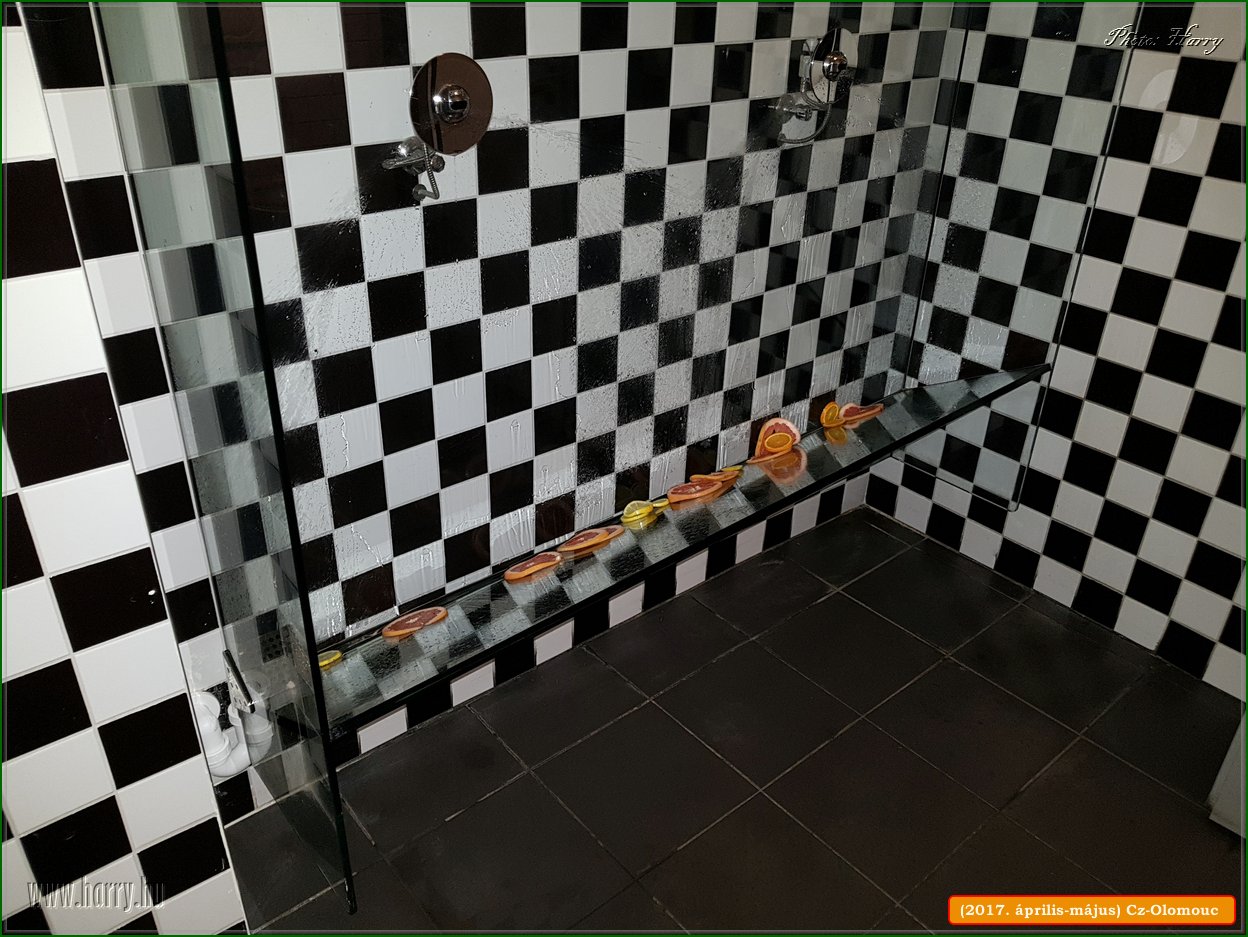 (2017.aprilis-majus)Cz-Olomouc-239.jpg