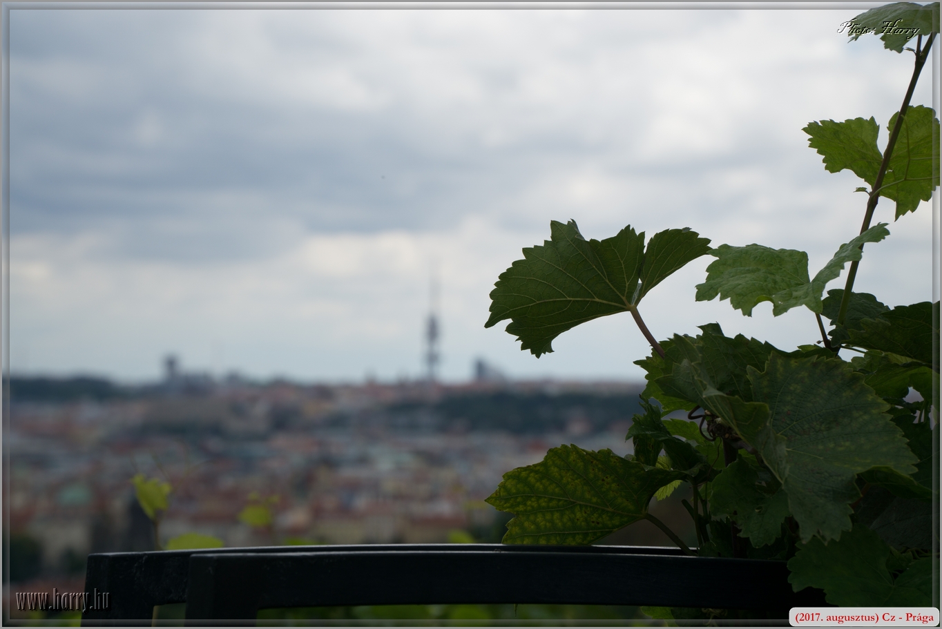 (2017.augusztus)Cz-Praga-074.jpg