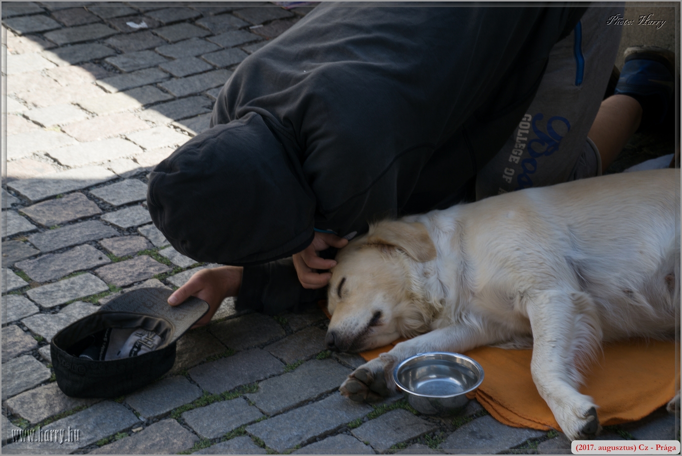 (2017.augusztus)Cz-Praga-303.jpg