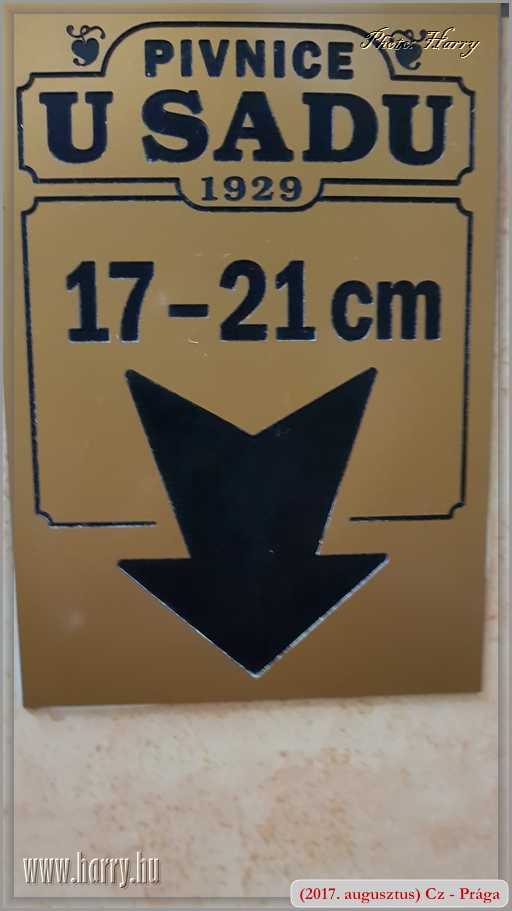 (2017.augusztus)Mobilfoto_Cz-Praga-032.jpg