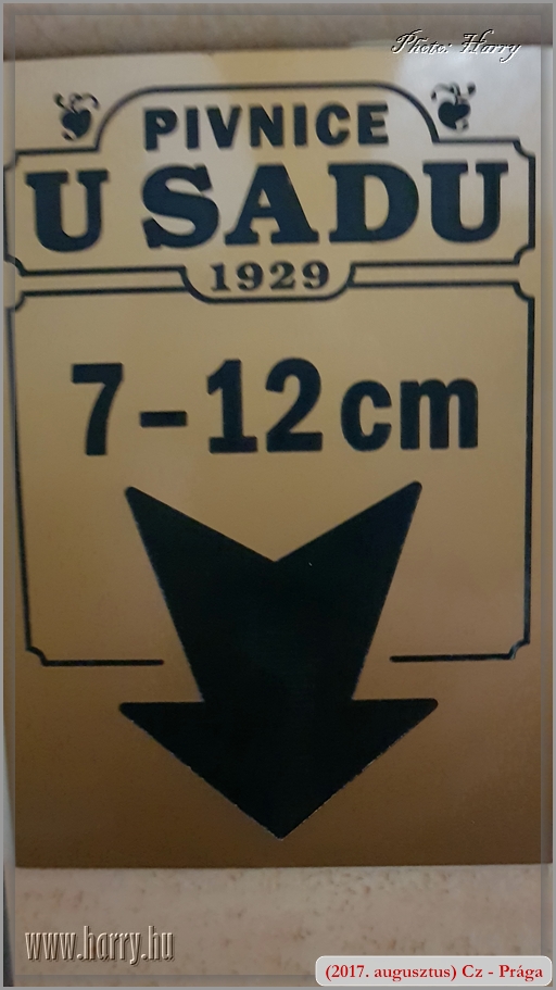 (2017.augusztus)Mobilfoto_Cz-Praga-033.jpg