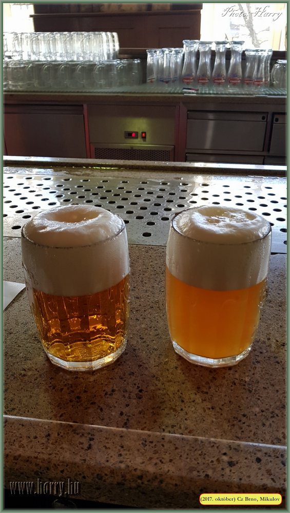 (2017.10.29-31.)Brno_Mikulov-029.jpg
