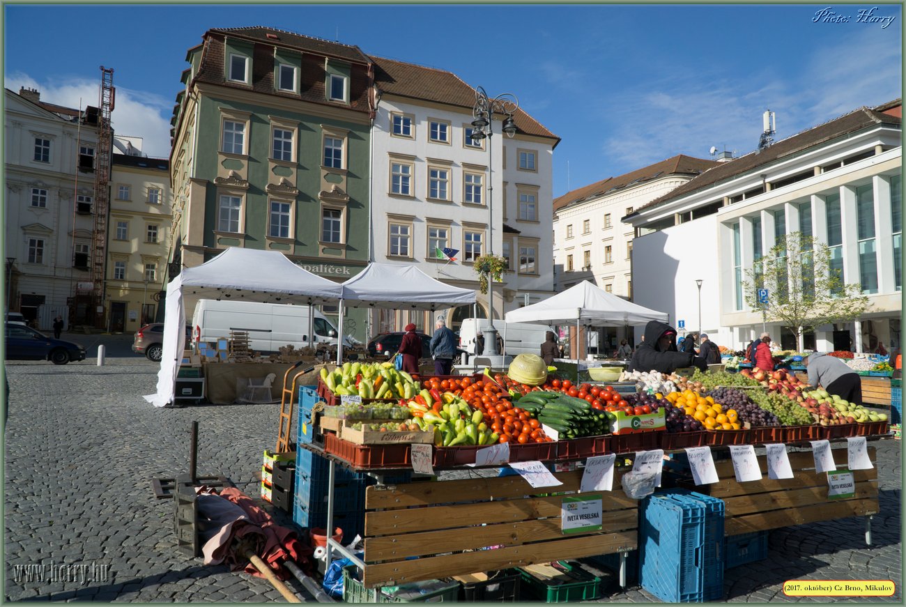 (2017.10.29-31.)Brno_Mikulov-073.jpg