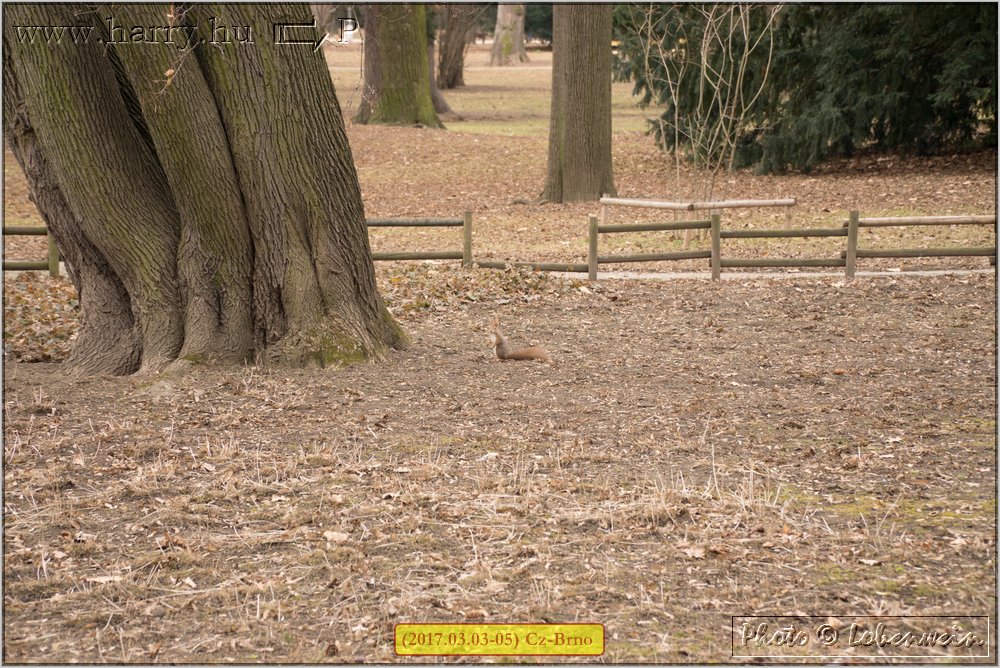(2017.03.03-05)Brno-058.jpg
