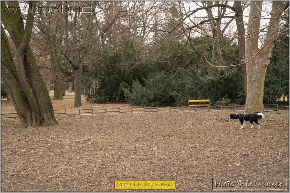 (2017.03.03-05)Brno-059.jpg