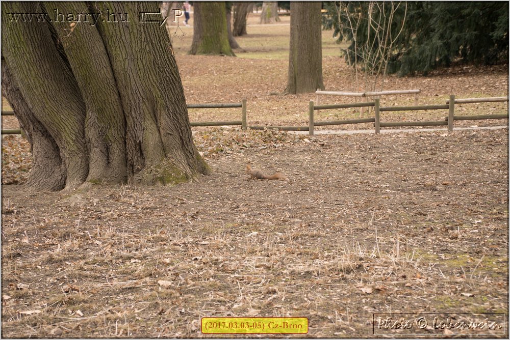(2017.03.03-05)Brno-060.jpg