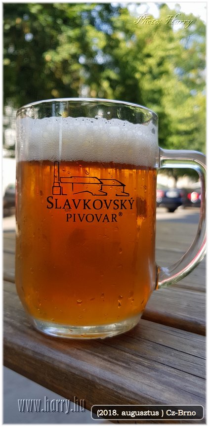 (2018.augusztus)Cz-Brno-091.jpg