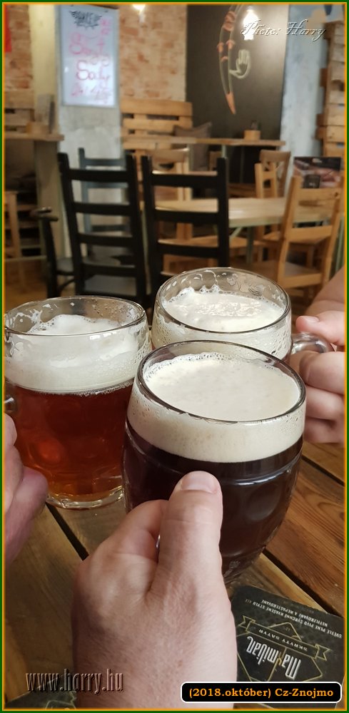 (2018.oktober)Cz-Znojmo-054.jpg