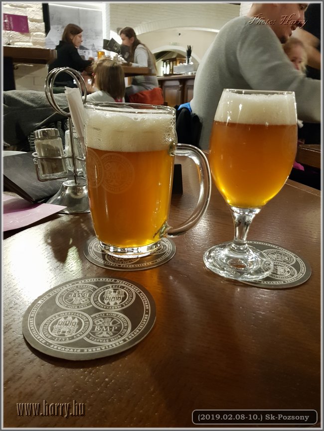 2019.02.08-10.Sk-Pozsony011.jpg