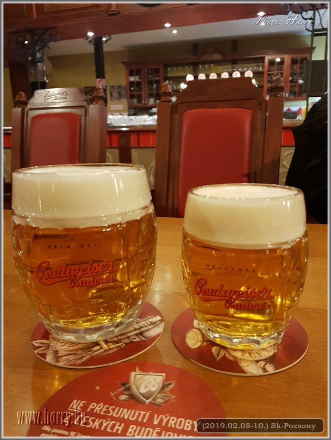 2019.02.08-10.Sk-Pozsony032.jpg