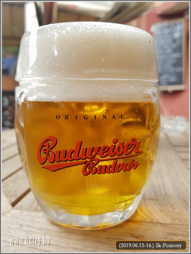 2019.06.15-16.Sk-Pozsony-110.jpg