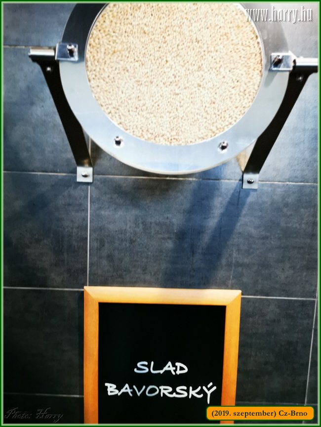 2019.szeptember-Cz-Brno-128.jpg