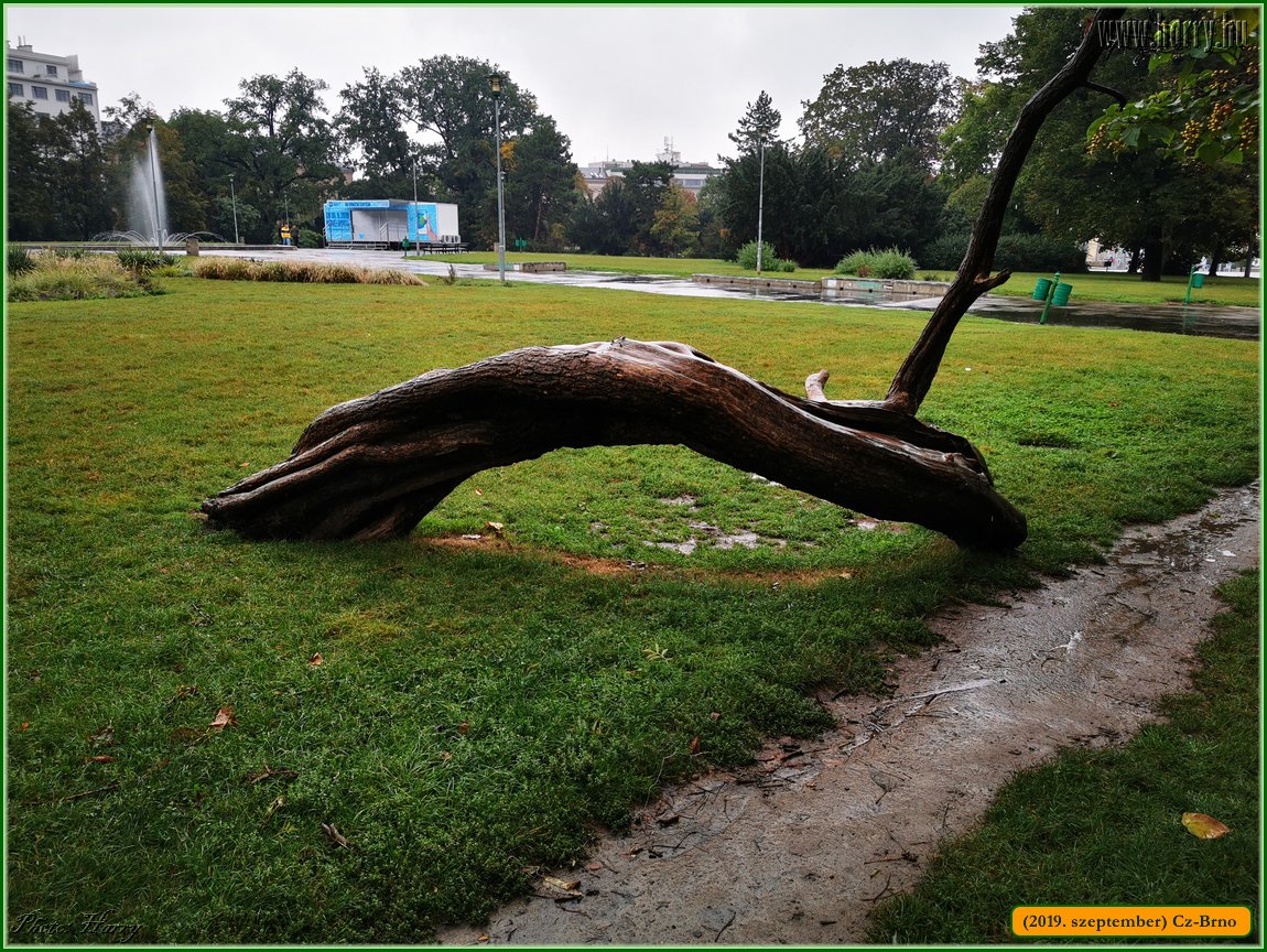 2019.szeptember-Cz-Brno-154.jpg