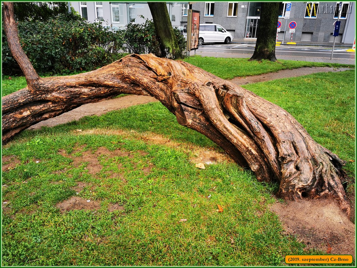 2019.szeptember-Cz-Brno-156.jpg