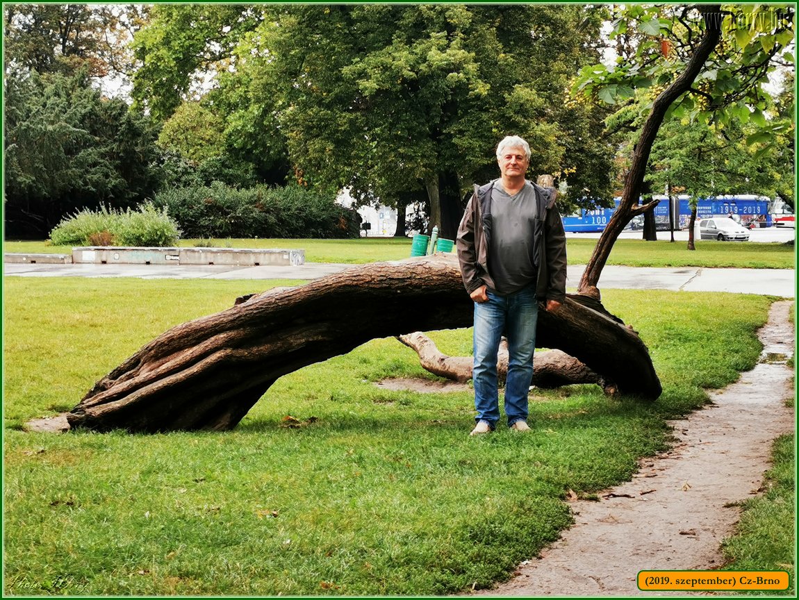 2019.szeptember-Cz-Brno-1560.jpg