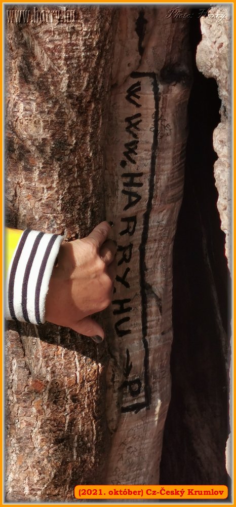 2021.oktober-Cz-Cesky_Krumlov-123.jpg