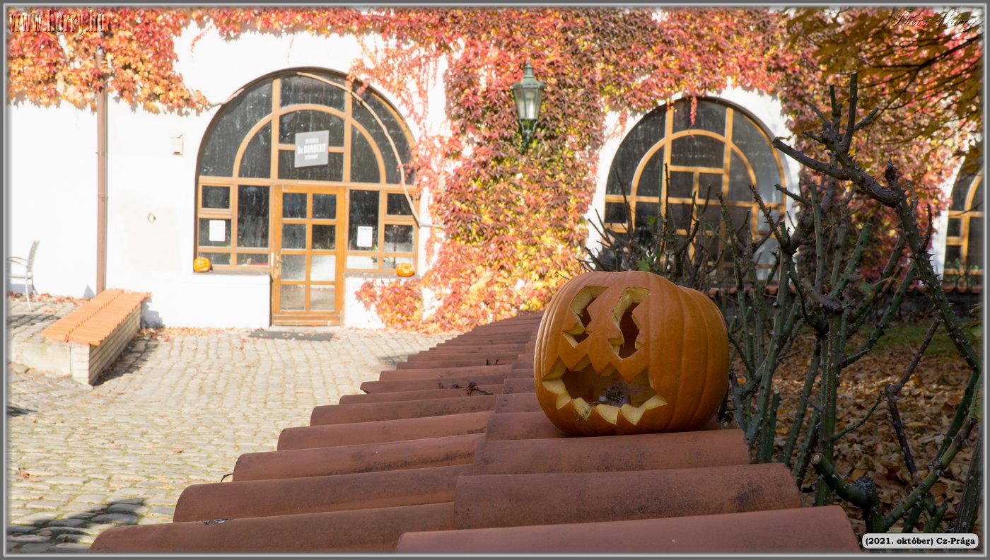 2021.oktober-Cz-Praga-096.jpg