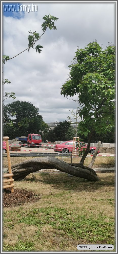 2022.07-Cz-Brno-011.jpg
