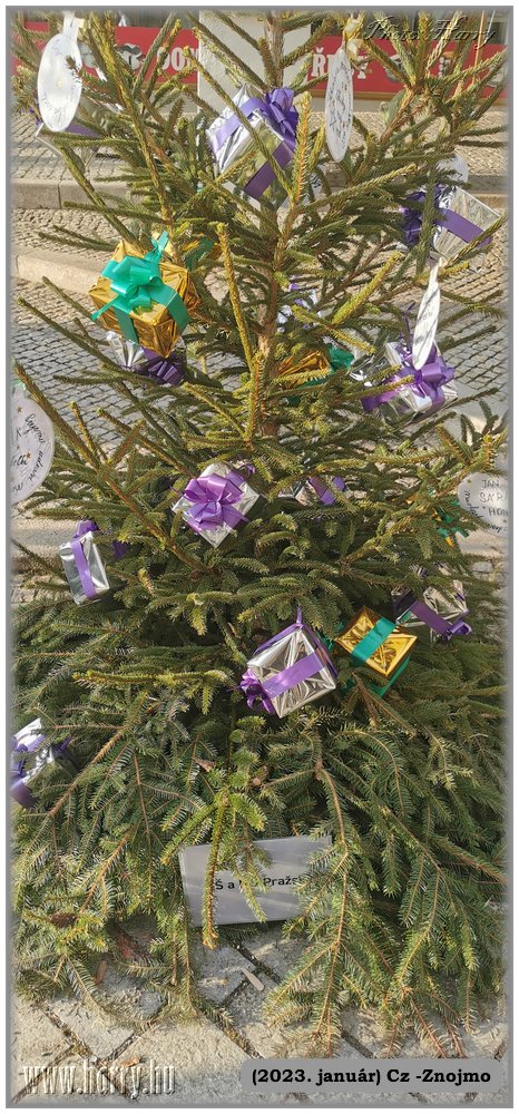 2023.01-Cz-Znojmo-29.jpg