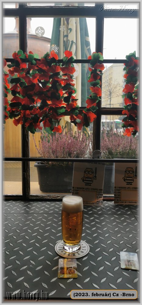 2023.02-Cz-Brno-016.jpg