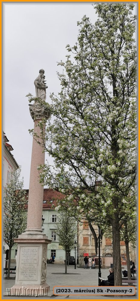2023.03-Sk-Pozsony-37.jpg