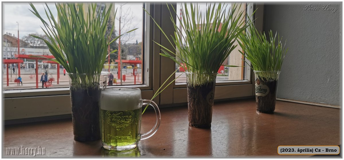 2023.04-Cz-Brno-005.jpg