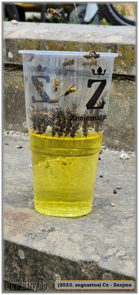 2023.08-Cz-Znojmo-156.jpg